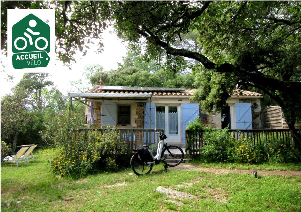 Domaine Du Bois Gite Bleuette Galargues Exterior foto